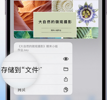 利州apple维修中心分享iPhone文件应用中存储和找到下载文件