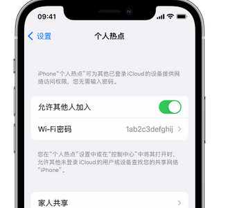 利州apple服务站点分享iPhone上个人热点丢失了怎么办 