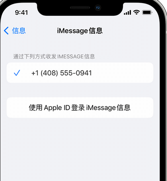 利州apple维修iPhone上无法正常发送iMessage信息 