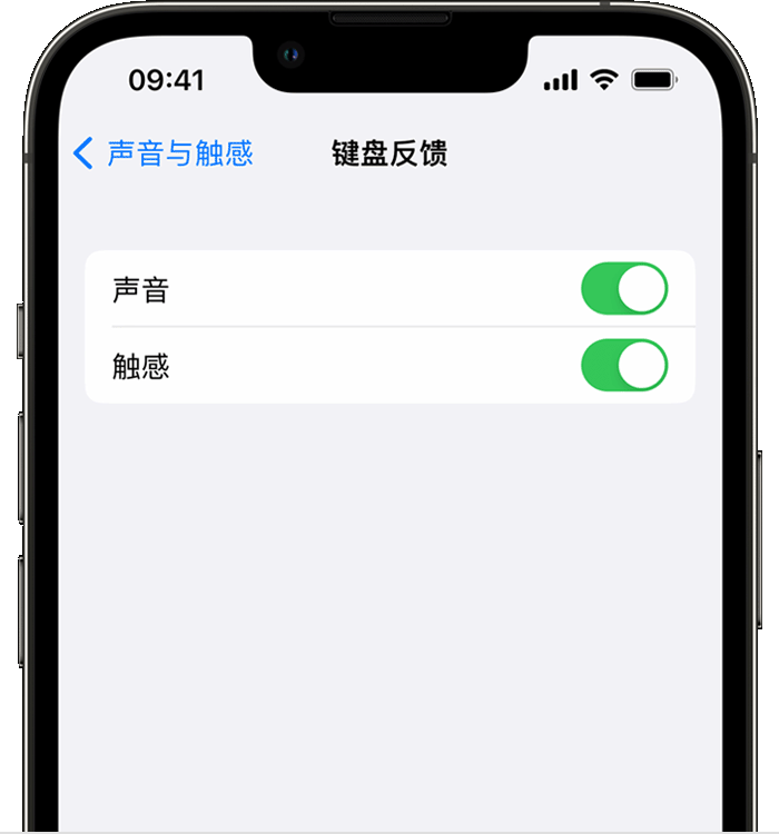 利州苹果14维修店分享如何在 iPhone 14 机型中使用触感键盘 