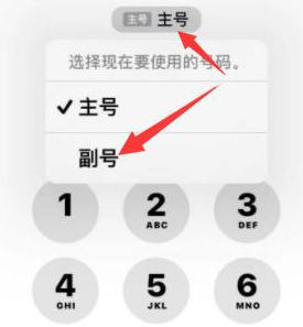 利州苹果14维修店分享iPhone 14 Pro Max使用副卡打电话的方法 