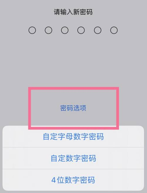 利州苹果14维修分享iPhone 14plus设置密码的方法 