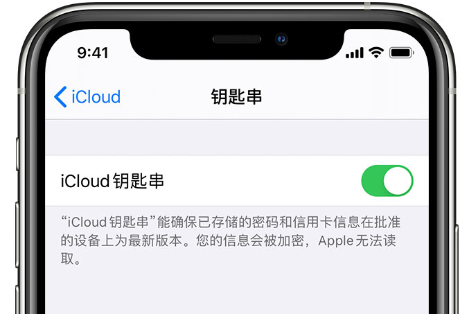 利州苹果手机维修分享在 iPhone 上开启 iCloud 钥匙串之后会储存哪些信息 