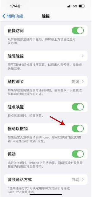 利州苹果手机维修分享iPhone手机如何设置摇一摇删除文字 